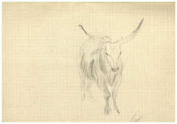 Visualizza l'immagine "FD Album 3, 20"